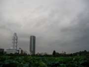 SANY0003
