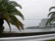 SANY0017 SANY0017