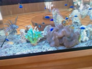 200805021026_030 200805021026_030