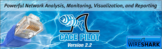 CACE Pilot